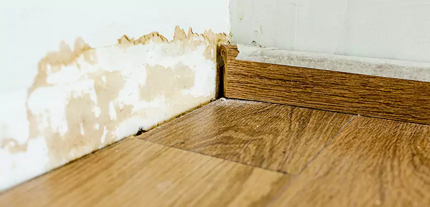 Professional Fix Water Damaged Wood Services in Roopville, GA