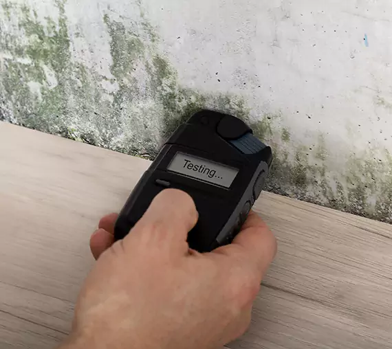 Mold Remediation Service Roopville